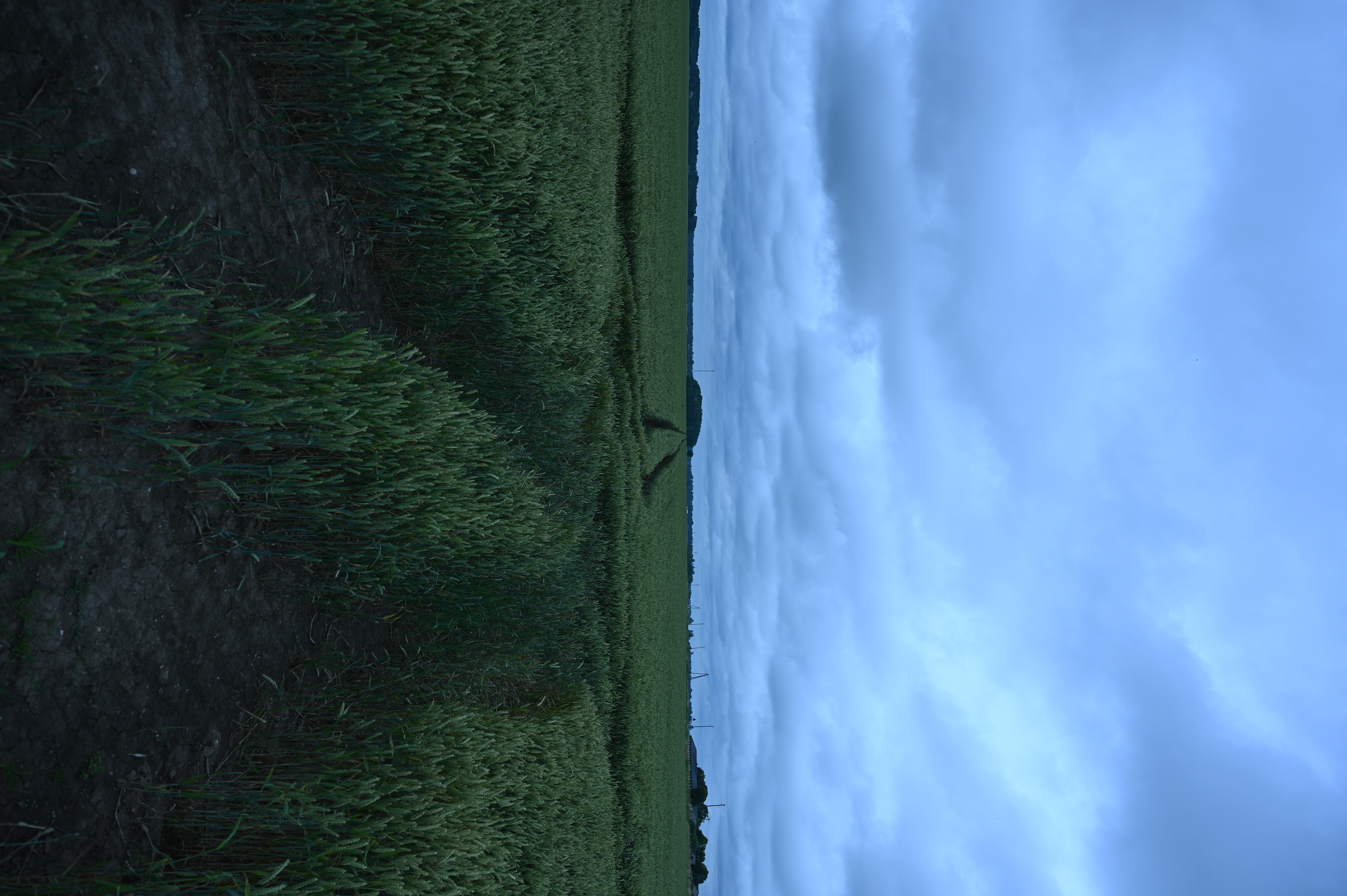 2025/07/09-14 - trip/DSC_0002.JPG